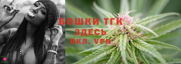 индика Абдулино
