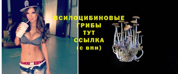 мет Абинск