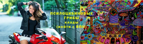 индика Абдулино