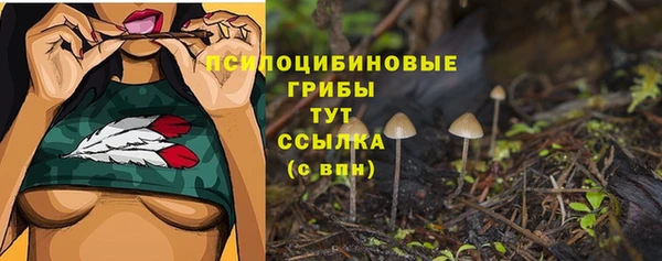 индика Абдулино