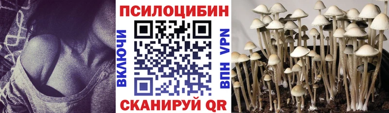 Галлюциногенные грибы прущие грибы  Карталы 